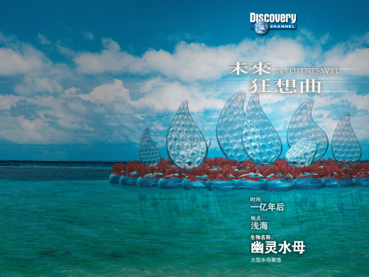 392921 (a): :1024x768